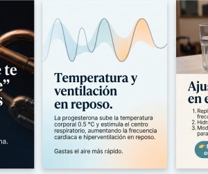 Respiración, temperatura y aire